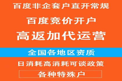 百度推广技巧：成功案例分享与解析